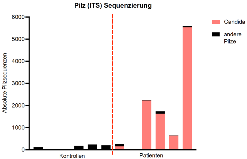 RP5 Pilze - klein